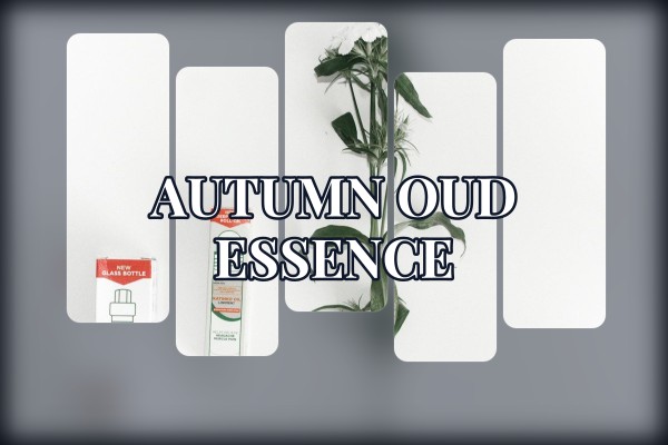autumn oud essence