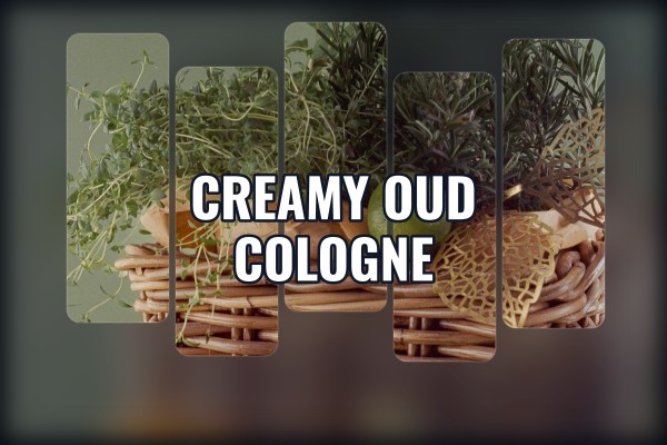 niche oud perfume