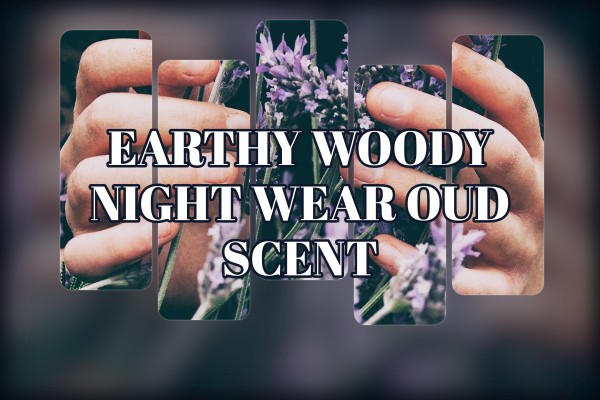 earthy woody night wear oud scent