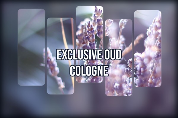 exclusive oud cologne