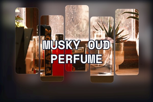 musky oud perfume