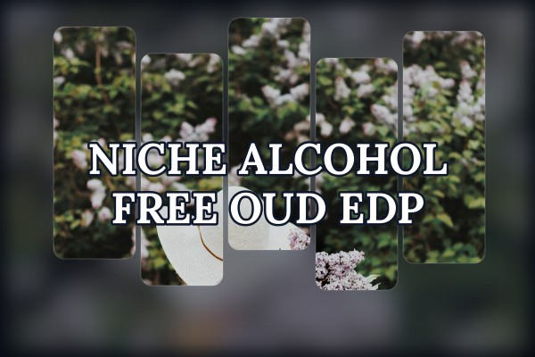 niche alcohol free oud edp