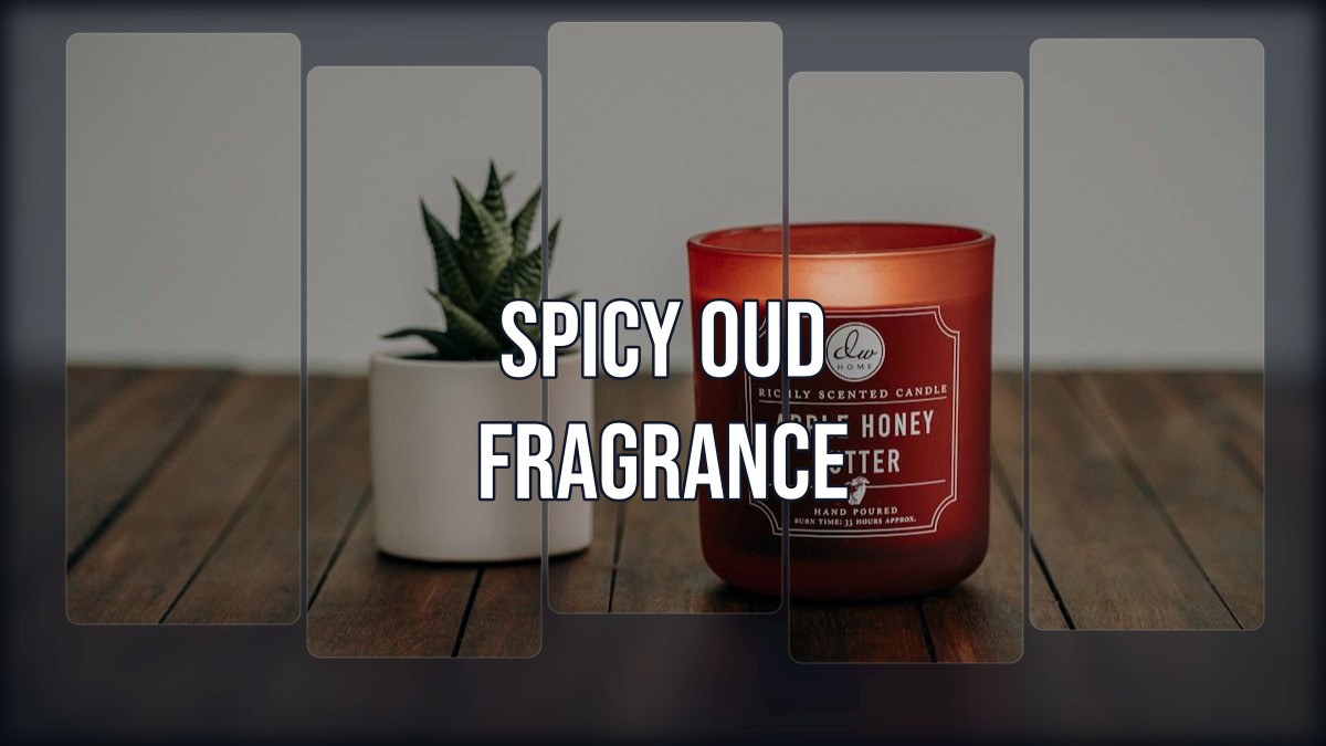 spicy oud fragrance