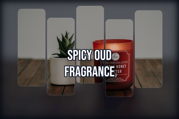 spicy oud fragrance