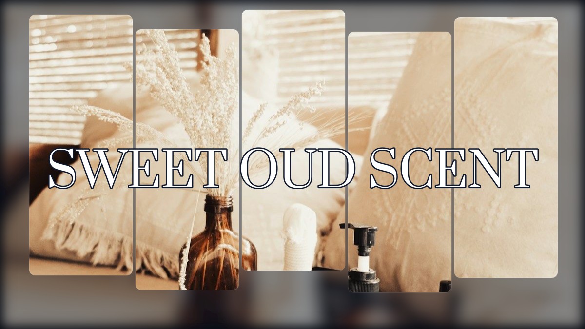 sweet oud scent