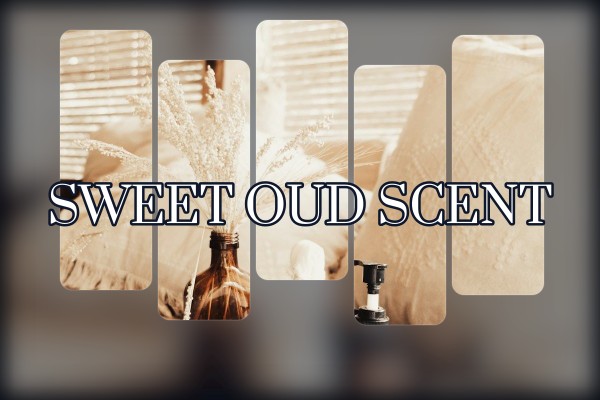sweet oud scent
