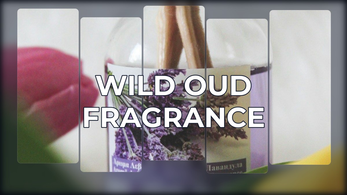 wild oud fragrance
