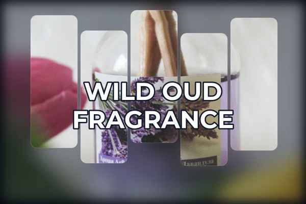 wild oud fragrance