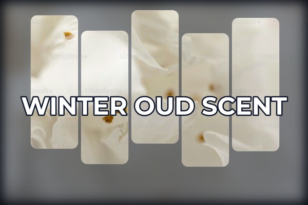 winter oud scent